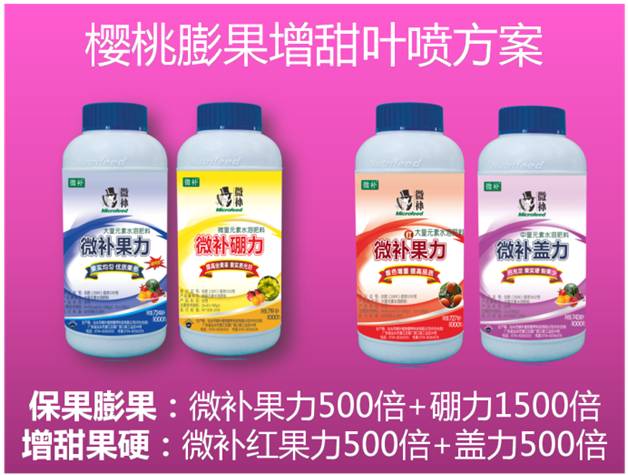 櫻桃用什么葉面肥？